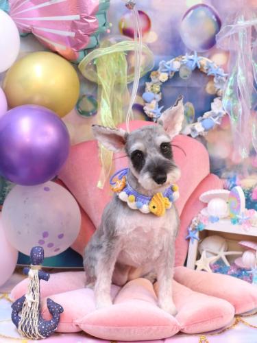 20240825コーラちゃん